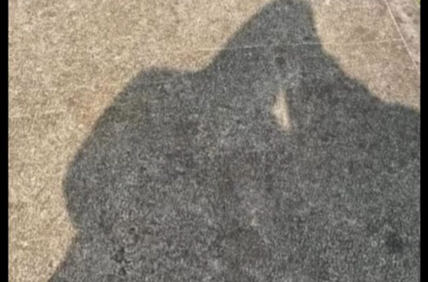  Berbalut Cadar, Ustadzah di Cianjur Selingkuh 3 Tahun dengan Muridnya, Viral di Media Sosial