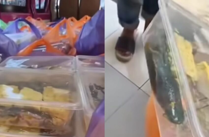  Darurat Gizi atau Sampah? SMAN 2 Pamekasan Kembalikan 1.022 Paket MBG, Kepsek: Demi Keselamatan Anak-anak