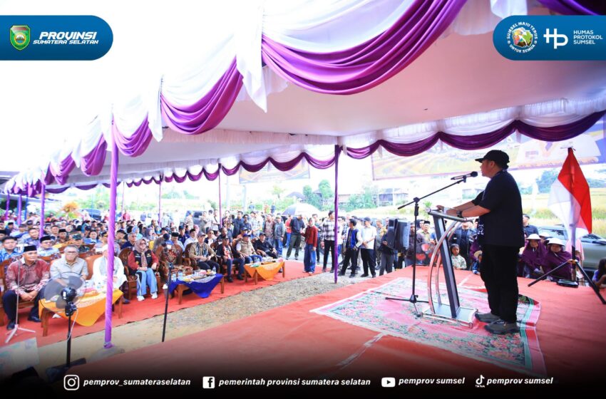  Herman Deru Dorong Inovasi Pertanian, Masa Tanam Padi Khas Semende Ditarget Lebih Singkat