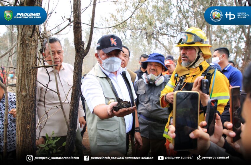 Bersama Wagub Cik Ujang, Herman Deru Pantau Penanganan Karhutla di Banyuasin