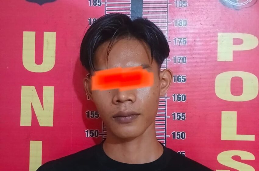  Terungkap! Pencurian Sawit di Desa Benuang, Polisi Buru Satu Pelaku Lain