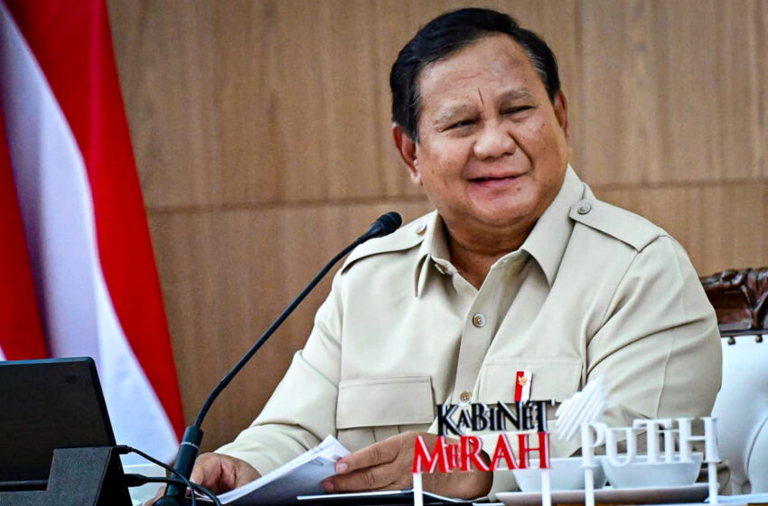  Prabowo Perintahkan BPGMN Tekan Kebakaran Gambut